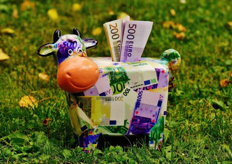 Die Wertsteigerungsfaktoren unter der Lupe: 5. Cash cow für die Zukunft